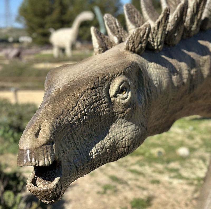 Unexpected Tooth Structure Changes Our Understanding