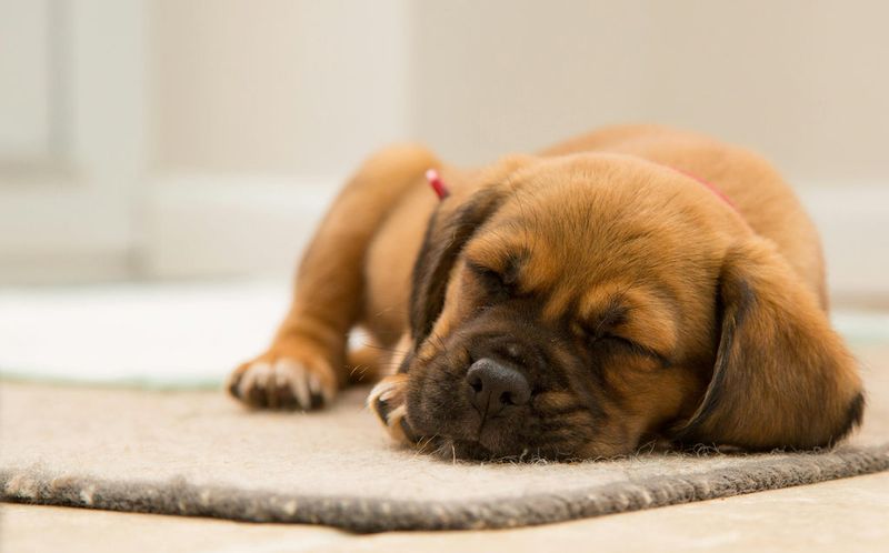 Poor Air Quality In Your Home