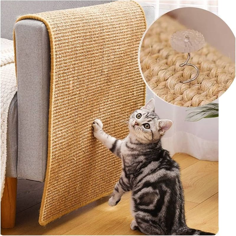 Destroying Carpet And Rugs