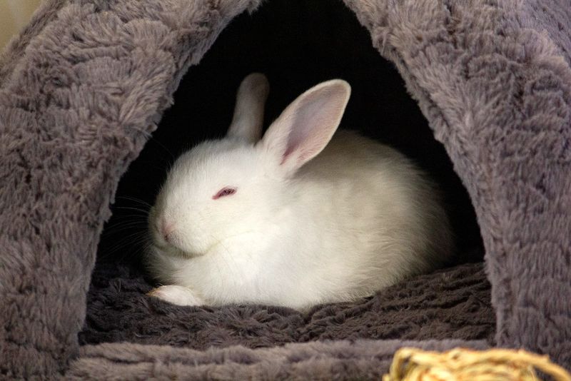 Hiding Away For Hours On End