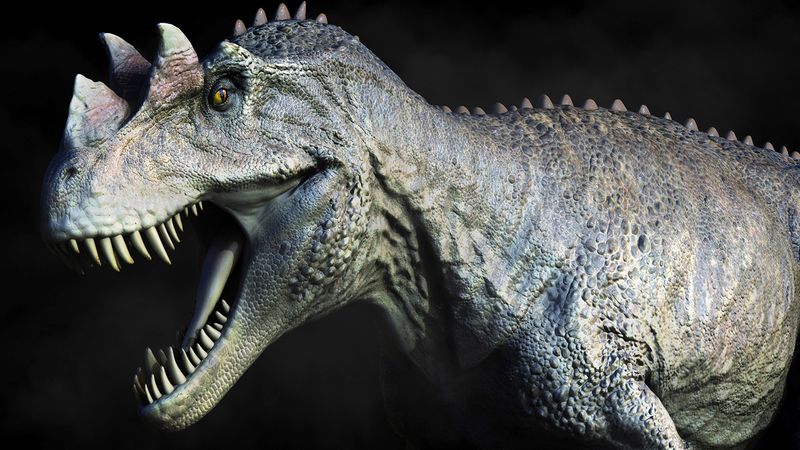 Ceratosaurus