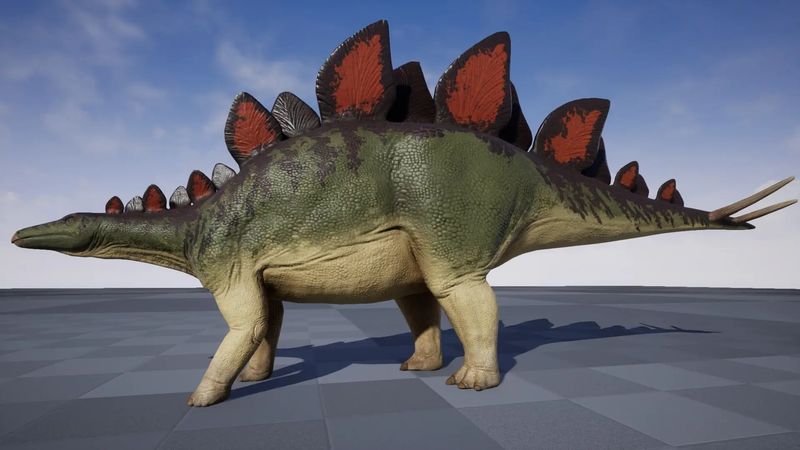 Dinosaurs Were A Single Type Of Animal