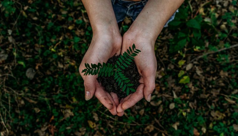 Alternative: Biodegradable Burial Pods