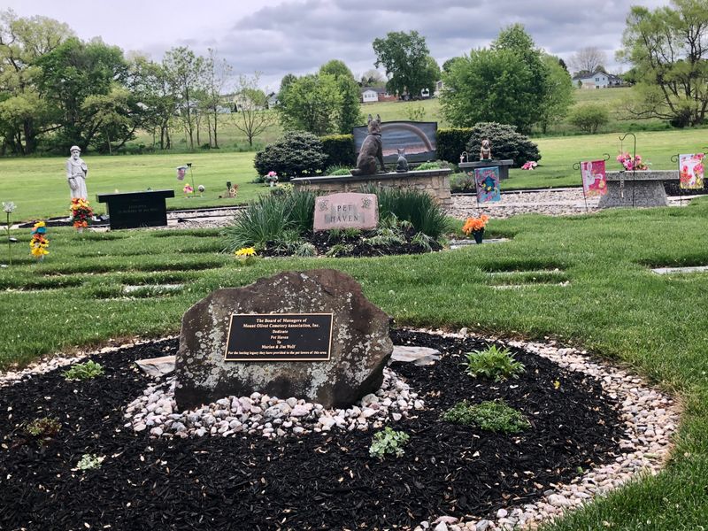 Alternative: Pet Cemetery Burial