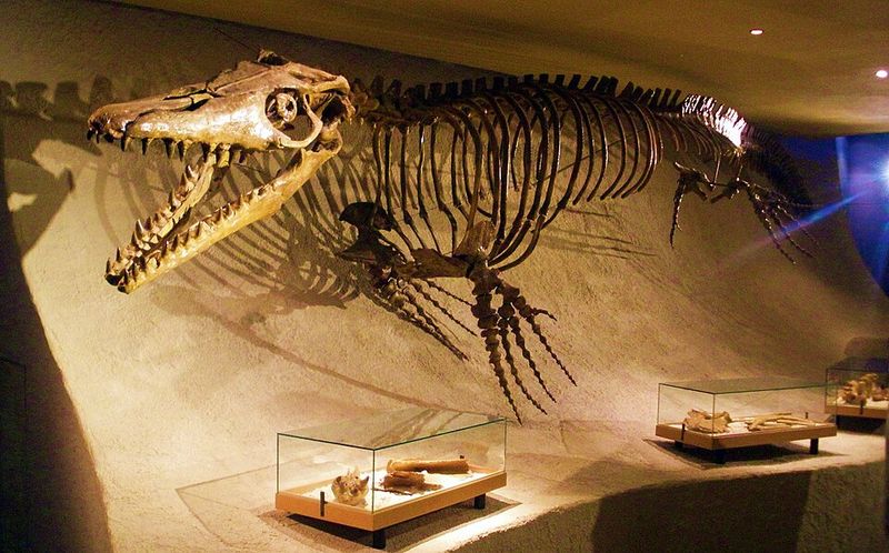 Size That Dwarfs Modern Predators