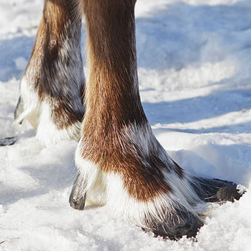 Shape-Shifting Feet