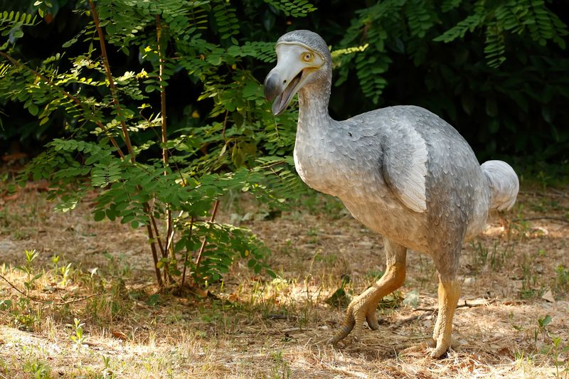 Diverting Resources From Existing Species