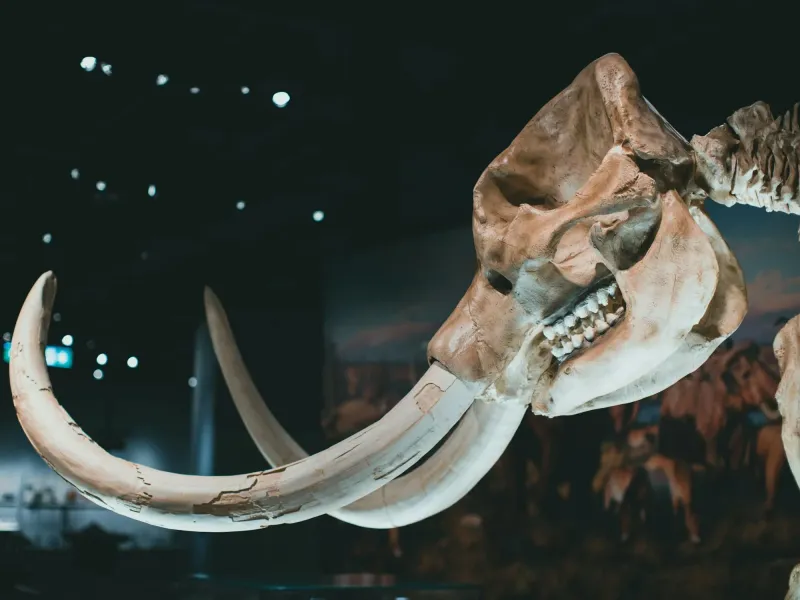 Public Inspiration For Conservation
