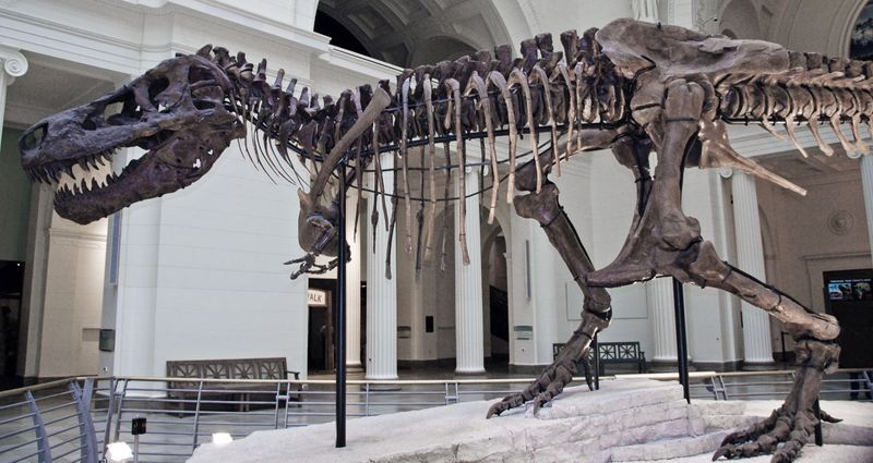 T. Rex
