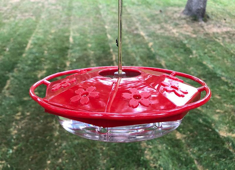Hang Your Feeder With Fishing Line