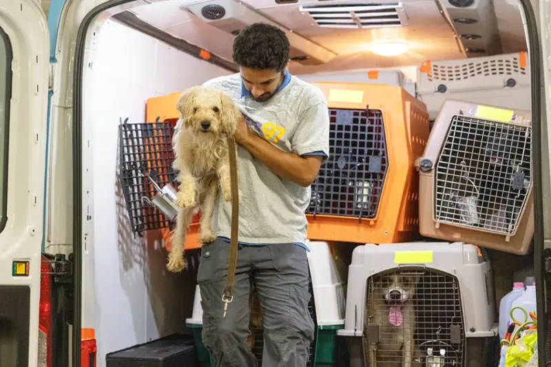 Volunteer With Rescue Transport Teams
