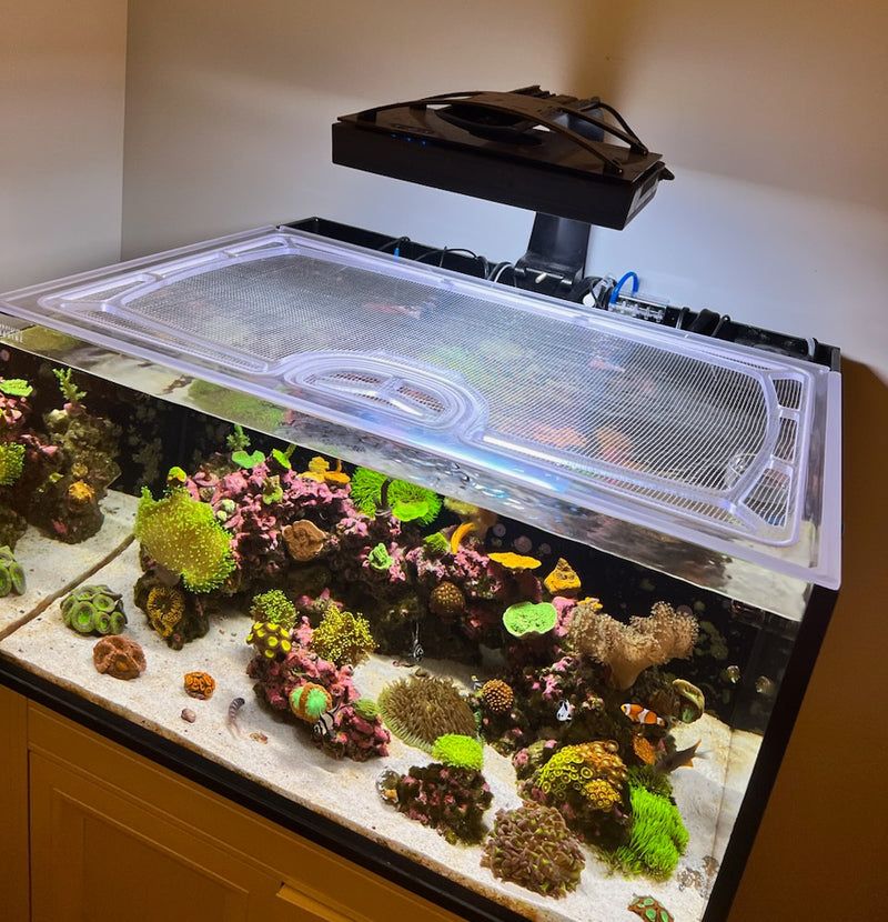 Tank Lid Or Cover