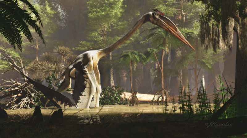 Quetzalcoatlus: The Giraffe-Tall Flying Reptile