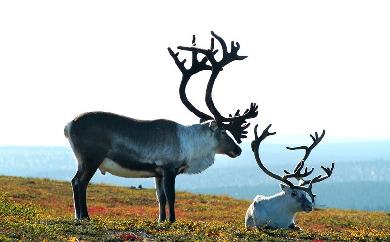 Vast National Parks Await The Brave