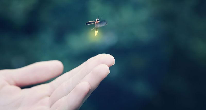 What Does It Mean For Future Generations?
