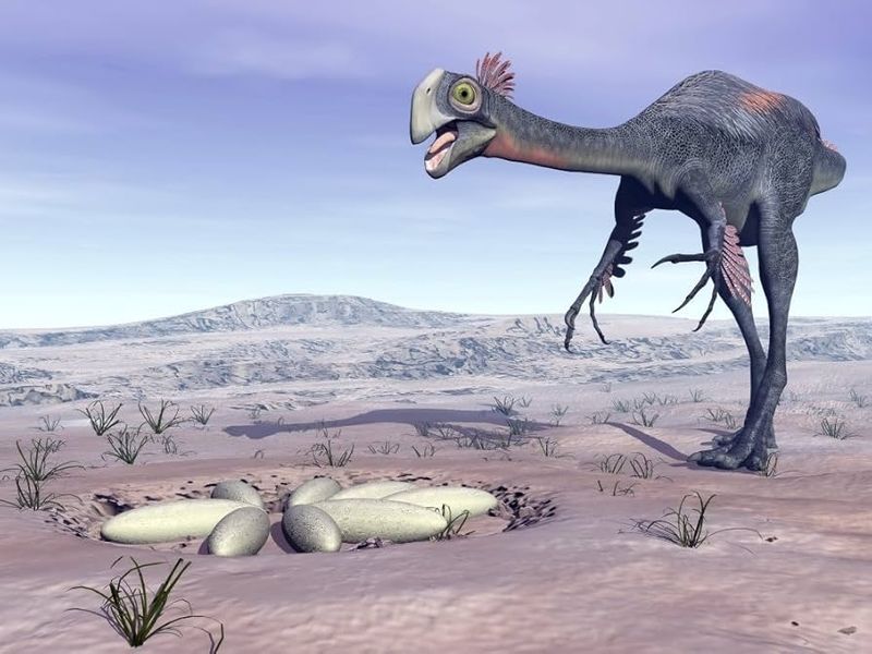 Nesting Behavior: Gentle Giant Parent