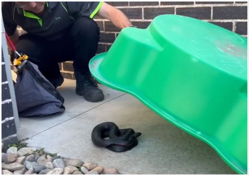 Children's Toys Left Outside