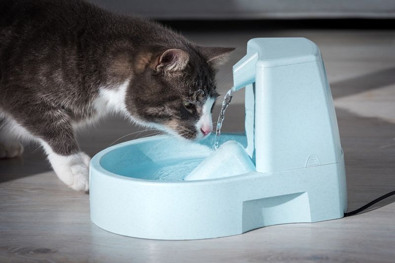 Fresh Water Fountain