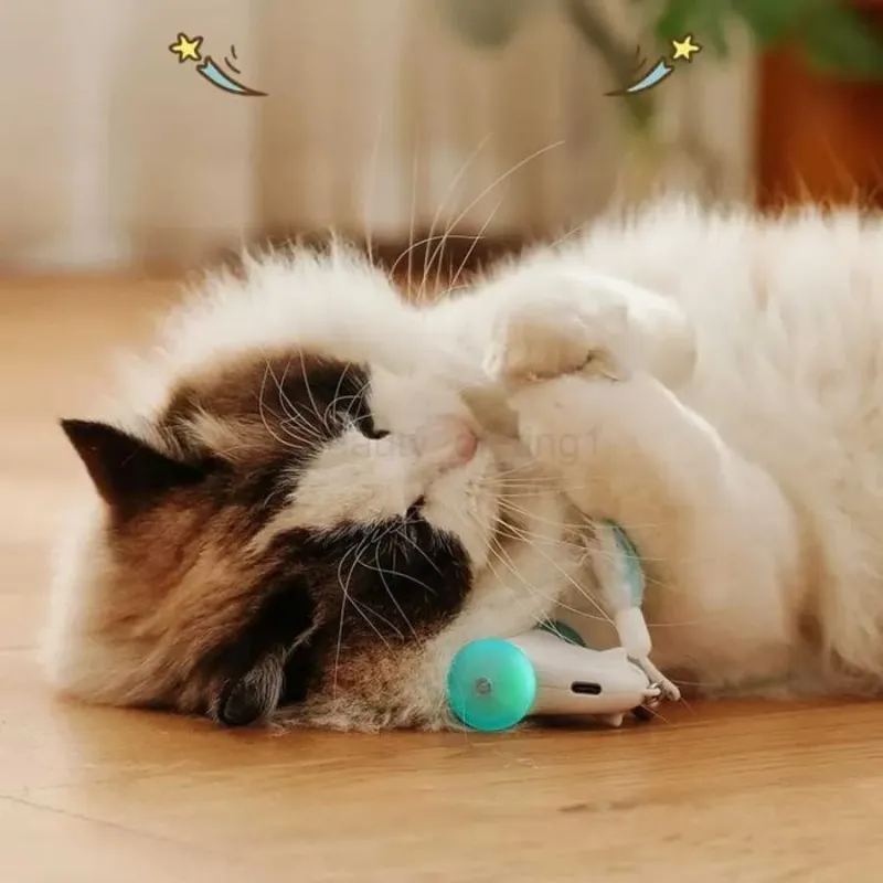 Interactive Toys Provide Crucial Mental Stimulation