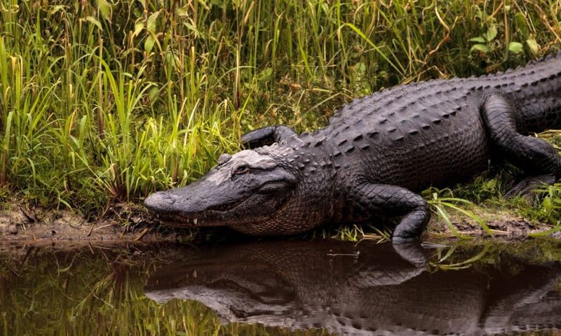 Lake Okeechobee, Florida
