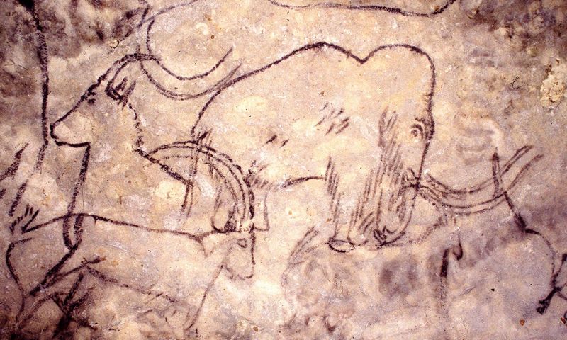 Humans Hunted And Revered Them
