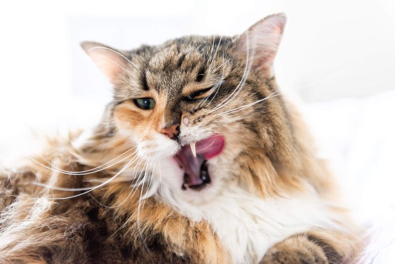 Pawing At The Mouth Or Face