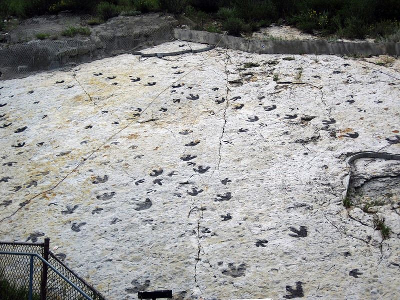 Ancient Seabed At Dinosaur Ridge, Colorado