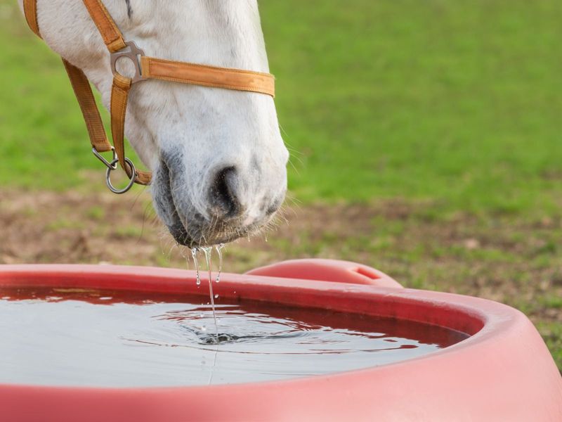 Proper Hydration