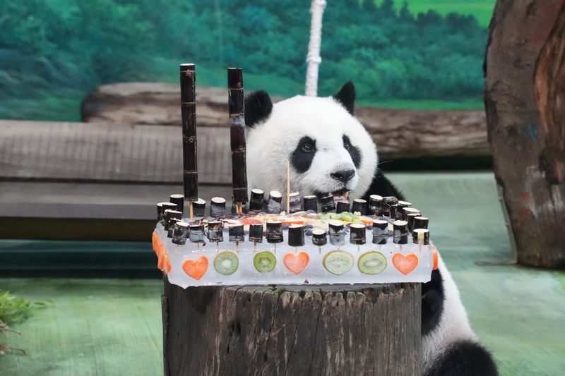 Special Zoo Nutritional Supplements