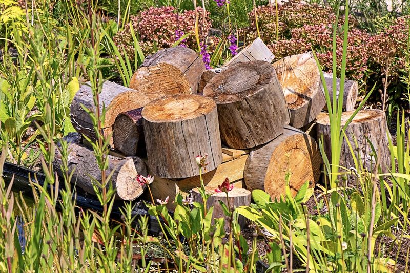 Make A Log Pile