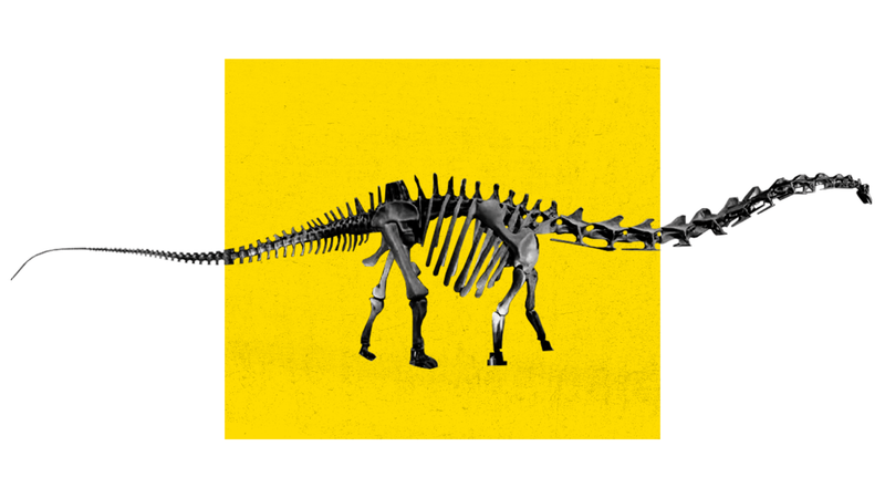 Supersaurus
