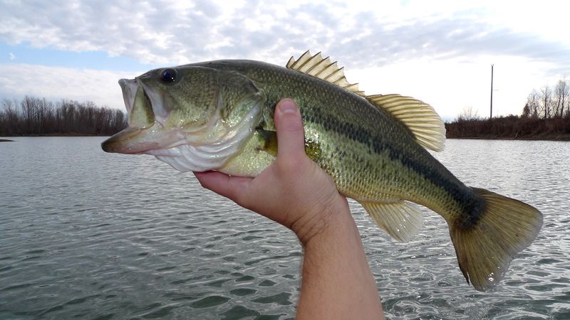 Rain Always Ruins Bass Fishing
