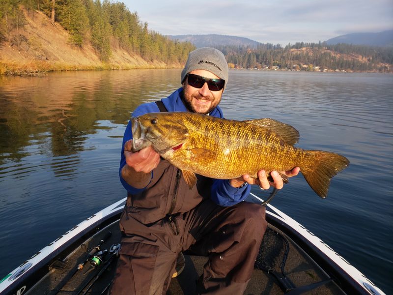 You Can't Catch Bass In Clear Water
