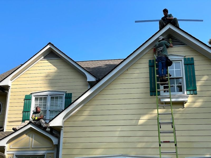 Professional Wildlife Removal