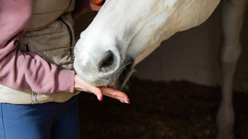 Peppermints