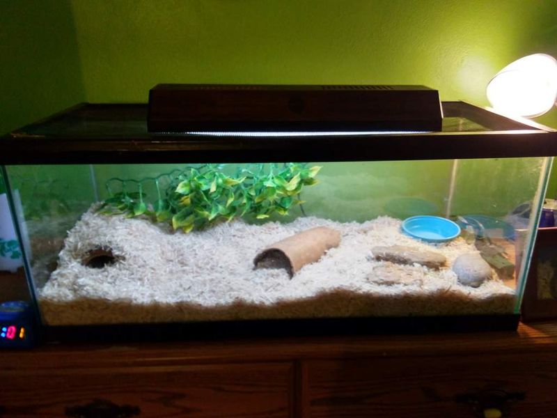 Habitat Size Matters