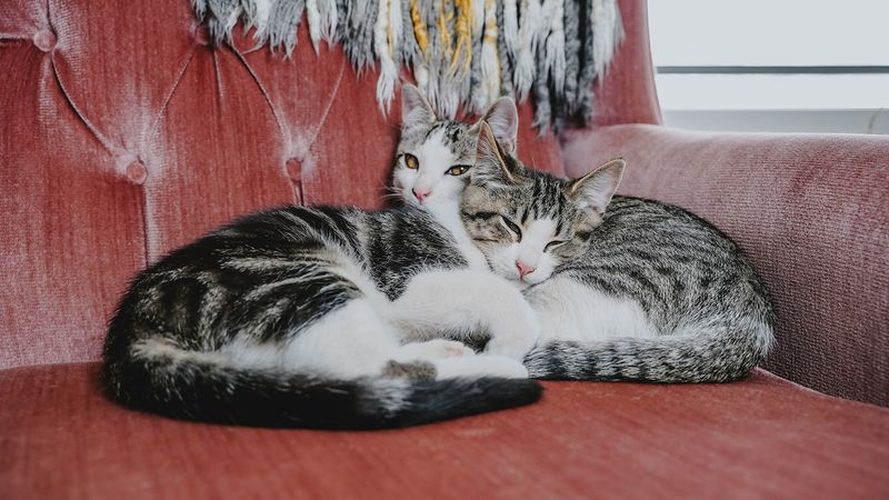 Bonded Pairs Double The Commitment