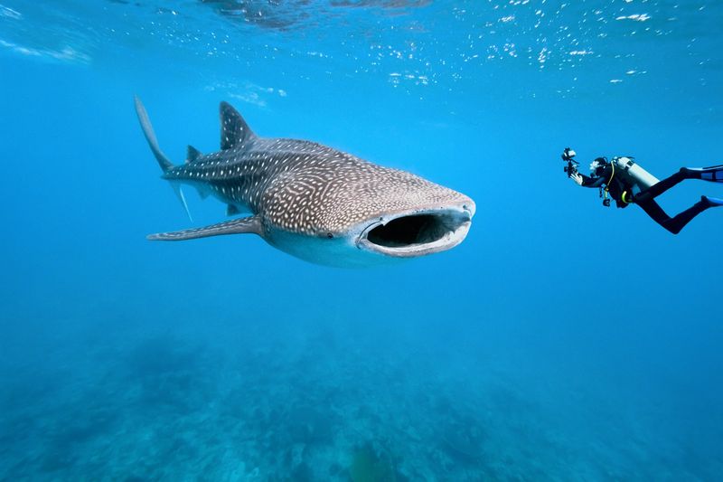 Seychelles, Indian Ocean