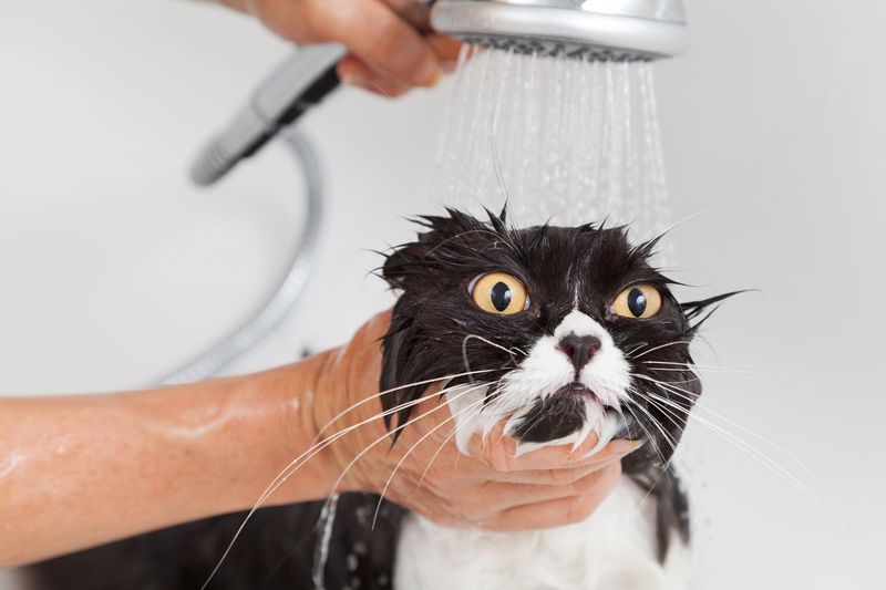 Water Wars