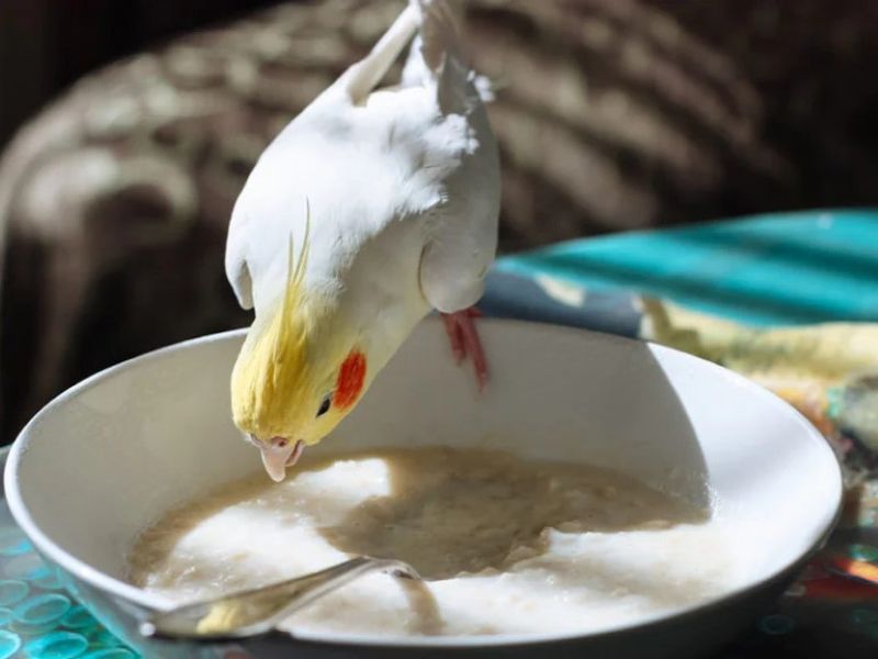 Oatmeal – Hearty Breakfast Option