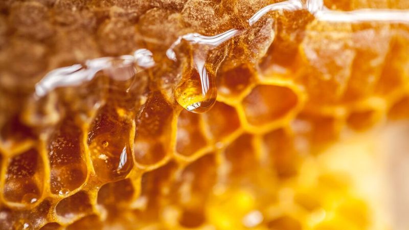 Honey