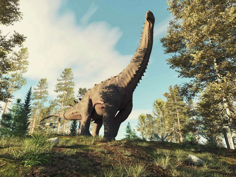 Alamosaurus: A Plant-Eating Colossus Of The Late Cretaceous
