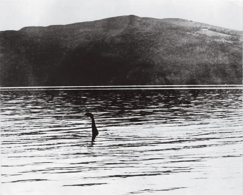The Loch Ness Monster (Nessie)