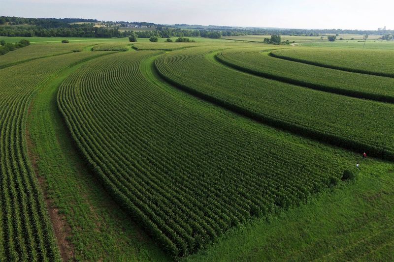 Agricultural Allies