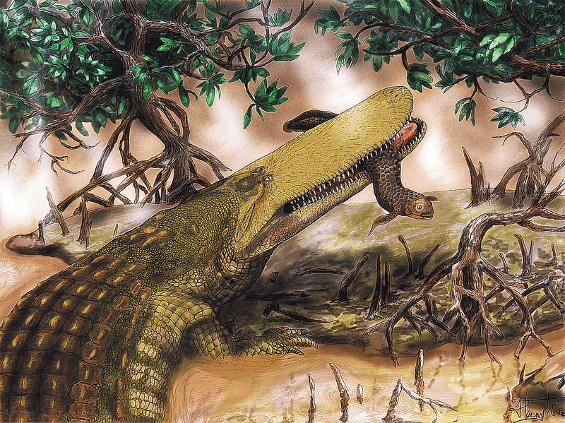 Still Influencing Modern Ecosystems