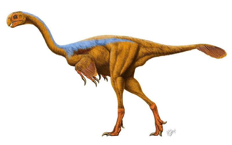 Sole Member Of Its Genus