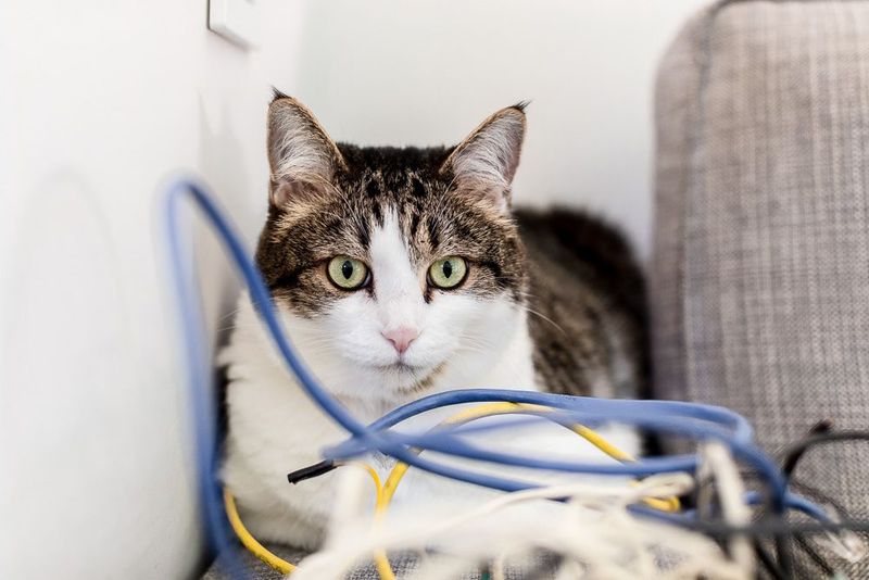 Leave Electrical Cords Exposed