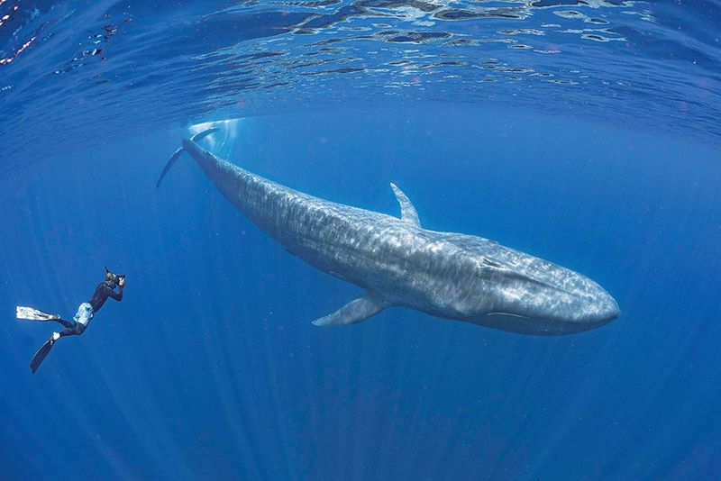 Awe-Inspiring Encounters With Humanity
