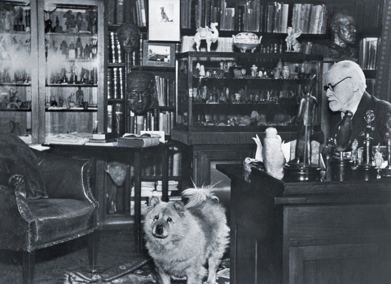Jofi: Freud's Therapeutic Assistant