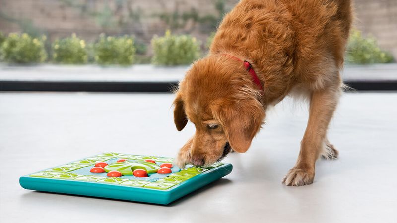 Problem-Solving Approaches